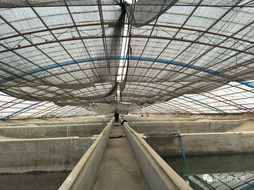 地質勘查先行 精準賦能——河北滄州南大港三分區打造工廠化水產養殖車間