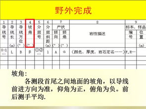 地質(zhì)剖面的實(shí)測(cè)與成圖方法 基礎(chǔ)地質(zhì)勘查中的規(guī)范操作指南