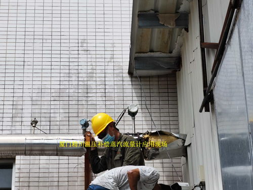 專業(yè)之選 為何眾多食品廠在蒸汽流量計(jì)采購(gòu)中青睞廈門精川？